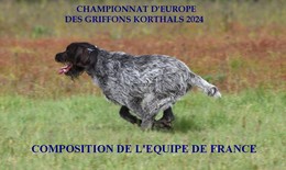 CHAMPIONNAT D'EUROPE DES GRIFFONS KORTHALS 2024
