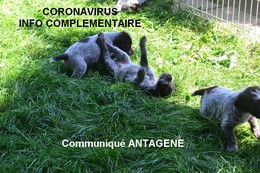 CORONAVIRUS 