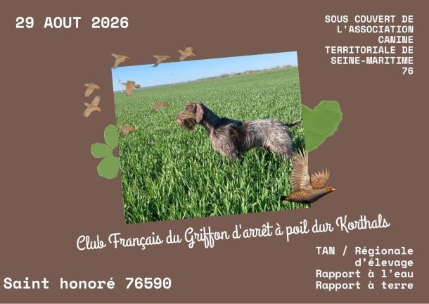 TAN RE SAINT HONORE 29 AOUT 2026