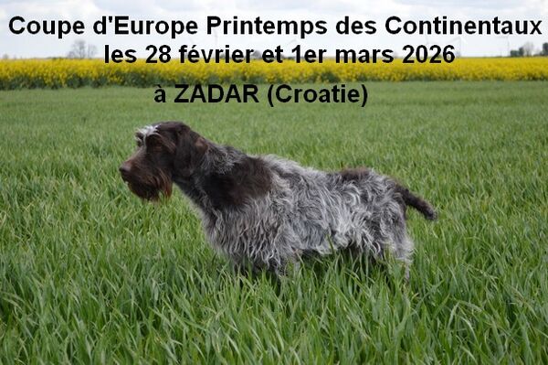 Toutes les actualités