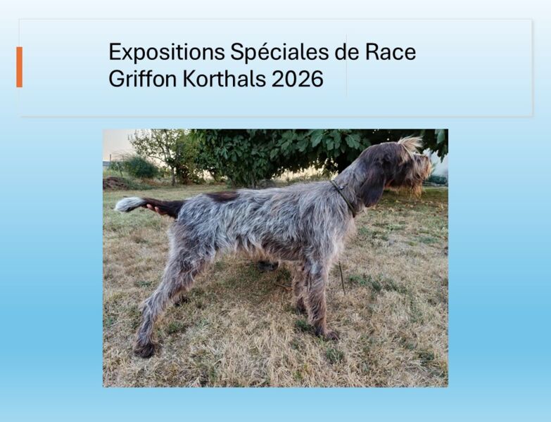 Expositions Spéciales de Race 2026