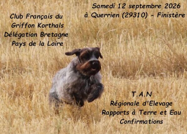 TAN RE QUERRIEN 12 SEPT 2026