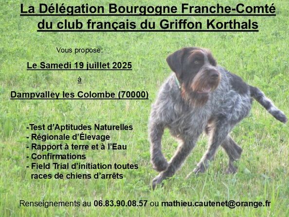 TAN RE DAMPVALLEY LES COLOMBE